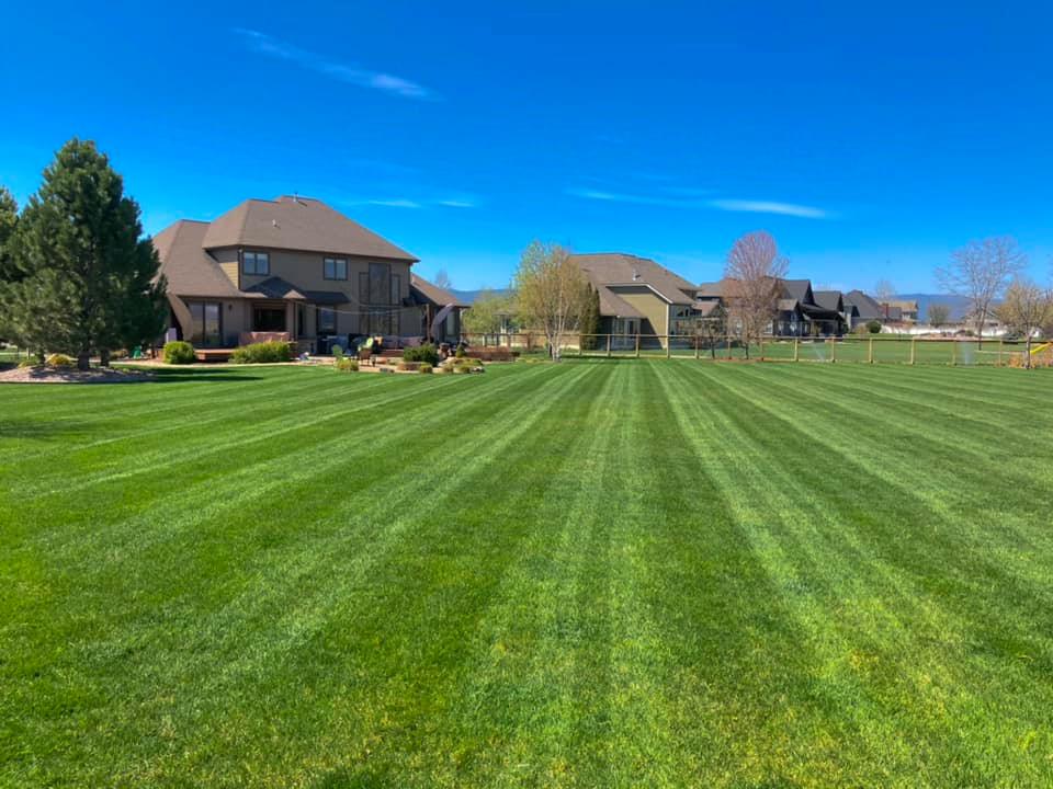 Total Care Montana professional lawn mowing and maintenance in the Flathead Valley
